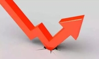 2024年广东省普通高校毕业生规模达84万人