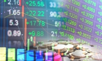 中粮资本：2024年前三季度净利润约12